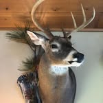 Dave Quirk - @daveq415 - Instagram