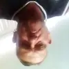 Dave Racette - @dave.racette - TikTok