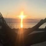 Dave Rader - @dave_rader - Instagram
