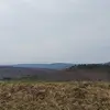 Dave Rafferty - @daverafferty0 - TikTok