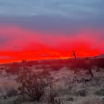 Dave Rahn - Facebook