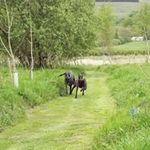 Dave Raine - @dave.raine.54 - Instagram