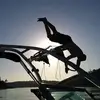 daverambo345 - @daverambo345 - TikTok