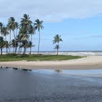 Dave Rampersad - @dave.rampersad.376 - Instagram