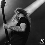 Dave Ramsay - @you_ate_my_hamster - Instagram