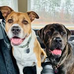 Dave Ranck - @ranckdave - Instagram