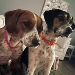Dave Range - @davidrange82 - Instagram
