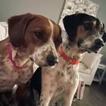 Dave Range - @range3971 - Instagram