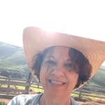 vera regina da cunha - @daveraregina - Instagram