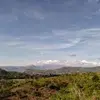 Dave Rash - @dave.rash4 - TikTok