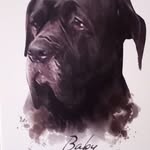 Dave Ratcliffe - @daveratfab - Instagram
