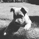 Dave Ratcliffe - @dratcliffe1972 - Instagram