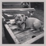 Dave Ratcliffe - @ratters06 - Instagram