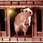 Dave Ratcliffe - @ratical.org_ - Instagram