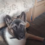 Joy Dave Ratcliffe - @snowyratcliffe - Instagram