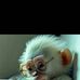David Ratty - Facebook