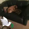 daveraver616 - @daveraver616 - TikTok