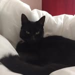Dave Rawsthorne - @rawsthornedave - Instagram