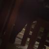 daveryan - @daverayen - TikTok