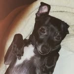 David - @dave.reames - Instagram