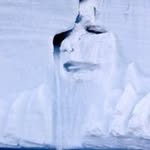 Dave Redd - @redddave - Instagram