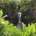 Dave Redding - @daveredd - Instagram