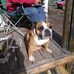 David Redding - Facebook