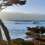 Dave Reese - @dave.reese.realty - Instagram