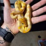Dave Reese - @omen.morphs - Instagram