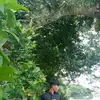Dave Regolado - @dave.regolado - TikTok