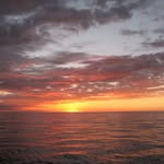 Dave Reiff - @reiffdave - Instagram