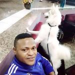 Dave Rex Ogenyi - @odaverex - Instagram