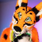Dave Rex Shephard - @rex.shephard.750 - Instagram