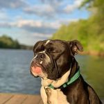 Tony Felts - @dave.rex.904 - Instagram