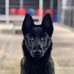 Dave Rey - Facebook
