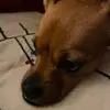 davey_richman - @dave_richey274 - TikTok