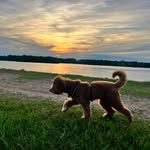 Dave Richter - @ig_daver - Instagram
