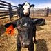 Anywhere Photos - Dave Ritchey - Facebook