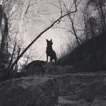 Dave Ritchey - @d.ritch - Instagram