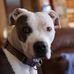 Dave Rivers - Facebook