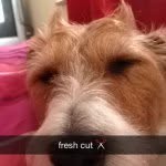 Dave Roberson - @dxggy_style - Instagram