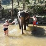 Dave Robson - @buzzdog13 - Instagram