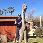 Dave Robson - @daveyroppa - Instagram