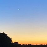 Dave Rockwell - @dave.rockwell2 - Instagram