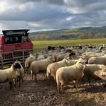 Dave Rodenhurst - @dave_rodenhurst - Instagram