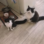 Dave & Rodney - @dave_and_rodney - Instagram