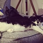 Dave & Rodney 🐾 - @theadventuresofdaveandrodney - Instagram