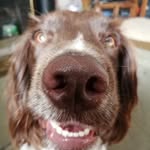 Dave (Rodney) - @dave_the_rave22 - Instagram