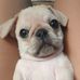 Dave Rodrigo - Facebook