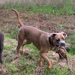 @dave_rogue_betty_and_wilma_too - Instagram